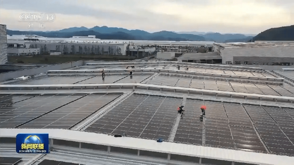 辽宁多措并举优化营商环境，信用建设与便民惠企见实效
